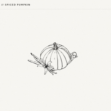 Load image into Gallery viewer, Spiced Pumpkin