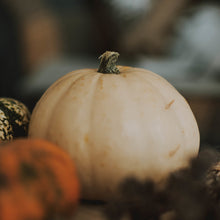 Load image into Gallery viewer, Spiced Pumpkin